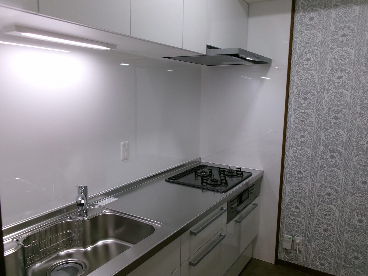 ���{�s�����R���A�}���V�����A�x���A�[�o�j�e�B���{�����A���{�����w�E�ʐ^2