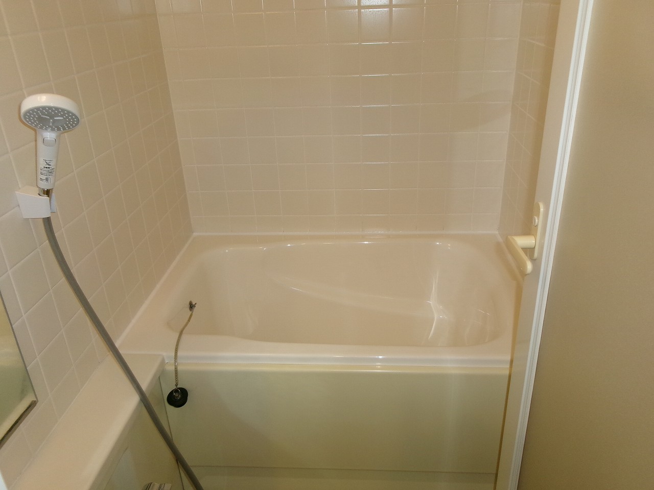 ���{�s�����R���A�}���V�����A�x���A�[�o�j�e�B���{�����A���{�����w�E�ʐ^1