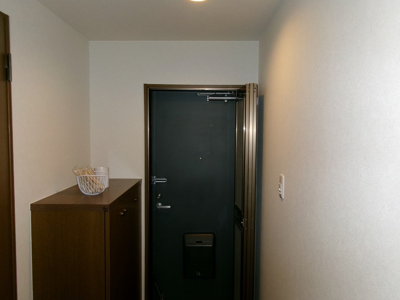 ���{�s�����R���A�}���V�����A�x���A�[�o�j�e�B���{�����A���{�����w�E�ʐ^3