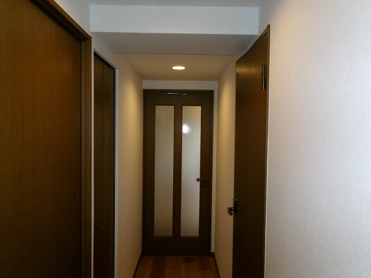 ���{�s�����R���A�}���V�����A�x���A�[�o�j�e�B���{�����A���{�����w�E�ʐ^3