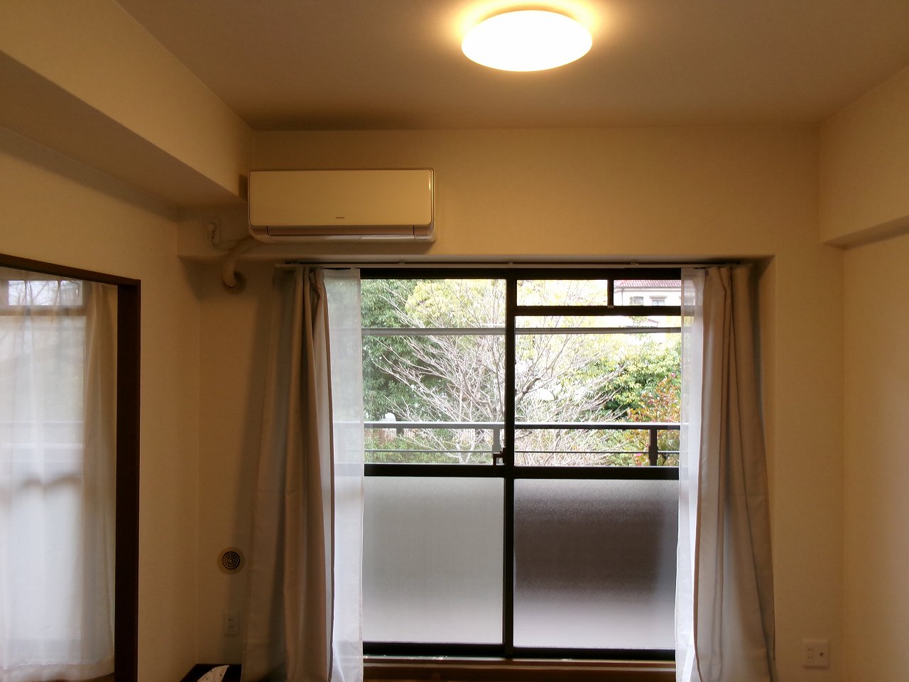 ���{�s�����R���A�}���V�����A�x���A�[�o�j�e�B���{�����A���{�����w�E�ʐ^2